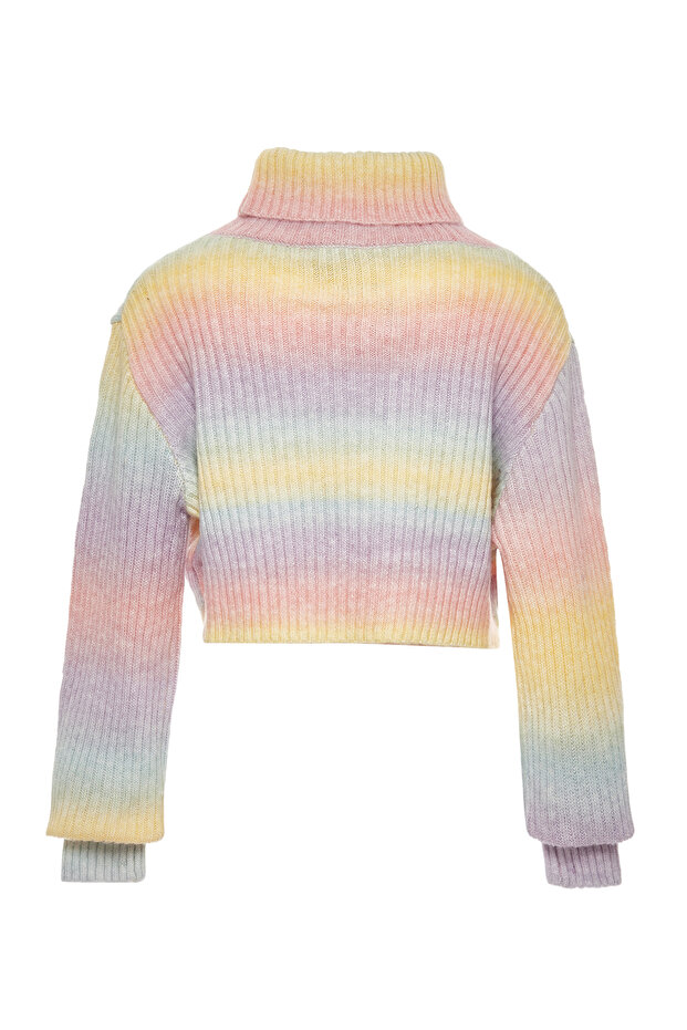 Rollkragenpullover - 2