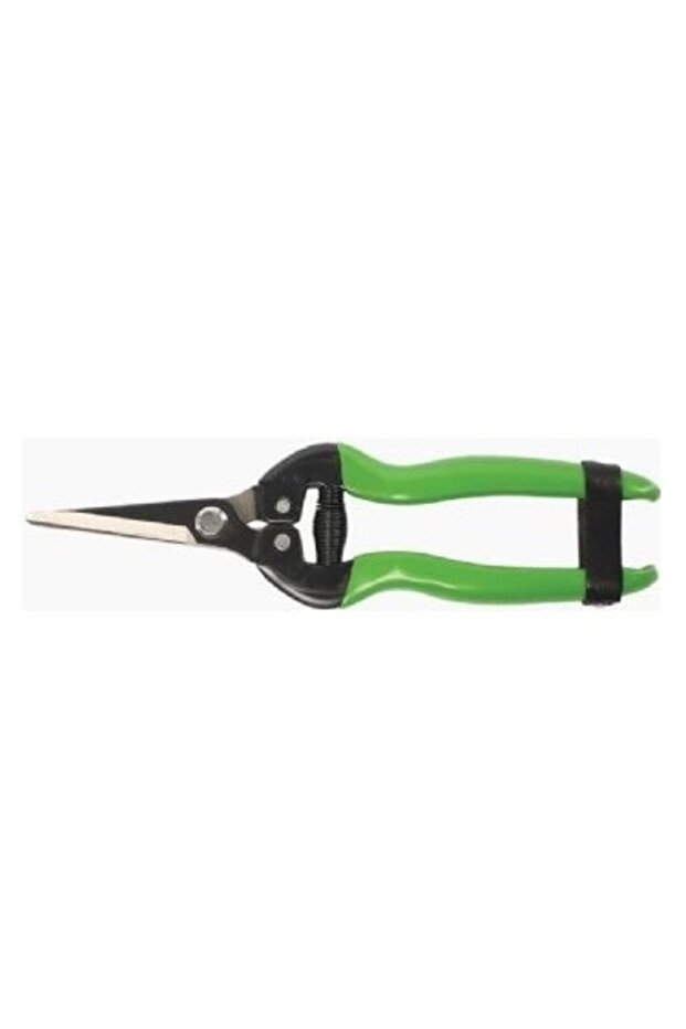 Formosa 24205 Pruning Scissors - 1