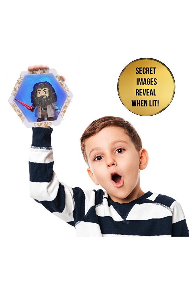 ! PODS - WIZARDING WORLD HAGRID - 3