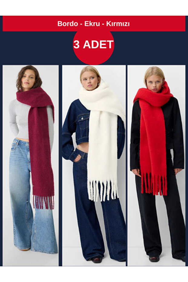 Imported Puffy Soft Textured Women's Scarf Shawl Shoulder Wrap (Burgundy Ecru and Red) 3 Pcs