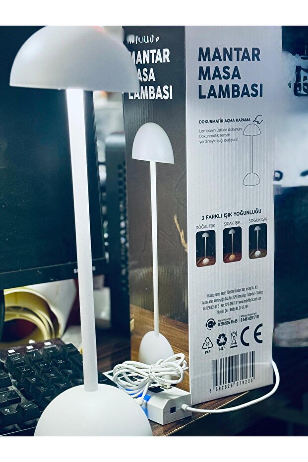 Mantar Masa Lambası - 1