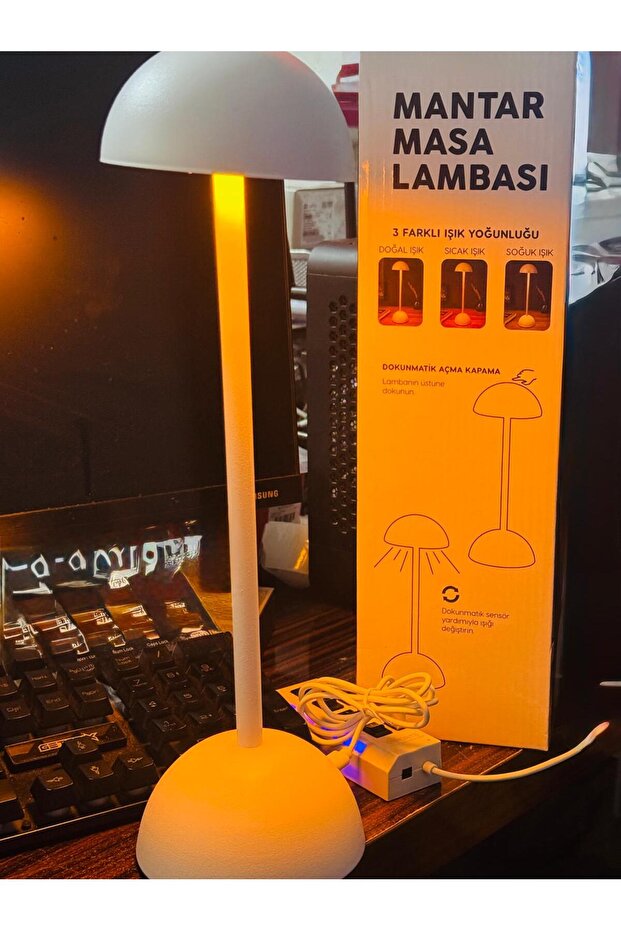Mantar Masa Lambası - 2