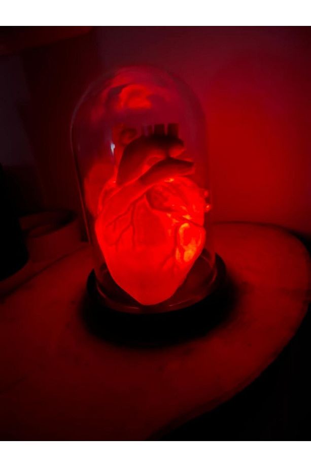 Sevgililer Günü Hediyelik Dekoratif Anatomik Kalp Gece Lambası - 3