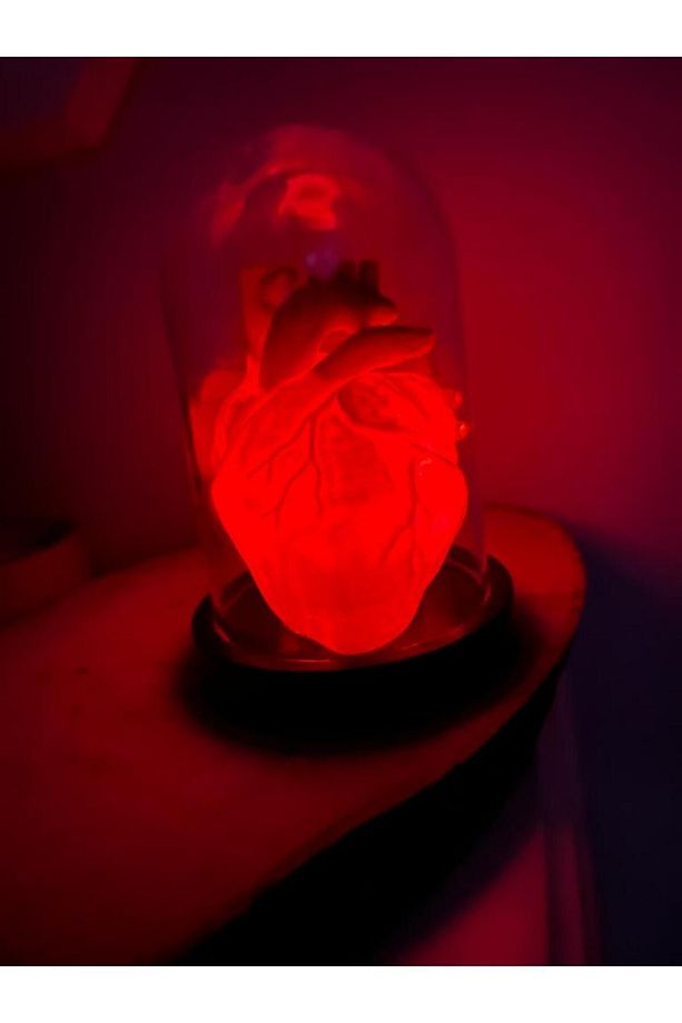 Sevgililer Günü Hediyelik Dekoratif Anatomik Kalp Gece Lambası - 5
