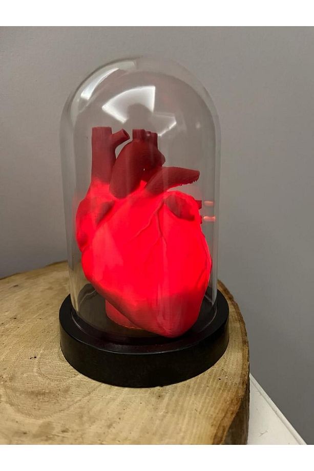 Sevgililer Günü Hediyelik Dekoratif Anatomik Kalp Gece Lambası - 7