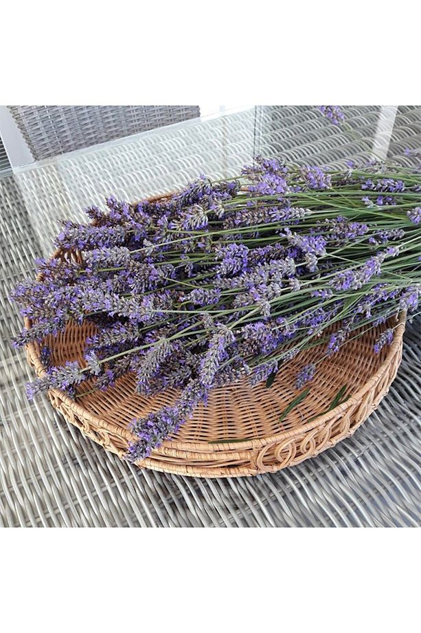 Lantana 45x6 cm. Rattan Tepsi - 8