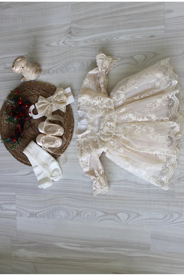Barbosa Orchid Baby Girl Guipure Lace Dress Newborn Luxury Dress Set - Hospital Discharge and Religious Ceremony