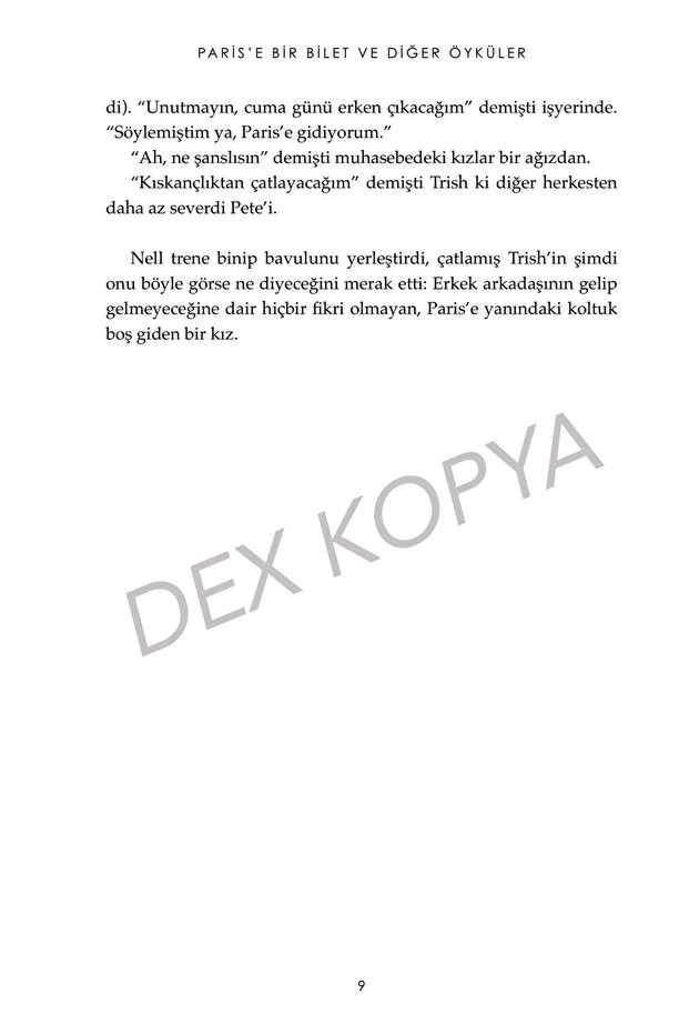 Paris'e Bir Bilet Ve Diğer Öyküler - 7