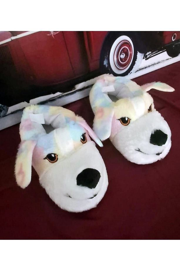 Kışlık Günlük Yumuşak Peluş Ev Botu Panduf Pandif - 1