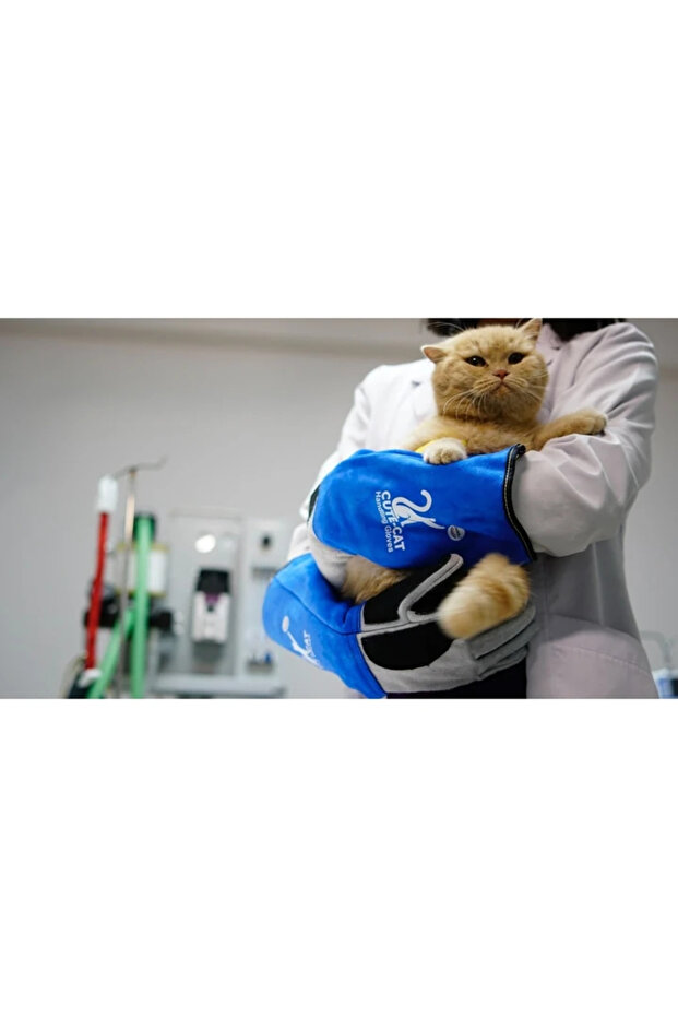 Kedi Tutma Eldiveni - 6