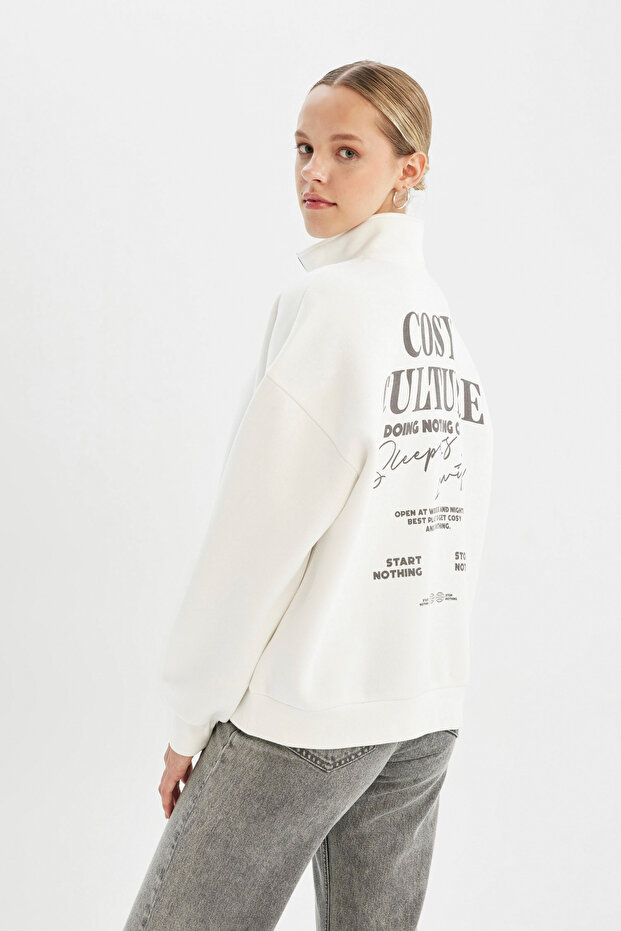 Loose Fit Half Zip Printed Thick Fabric Sweatshirt