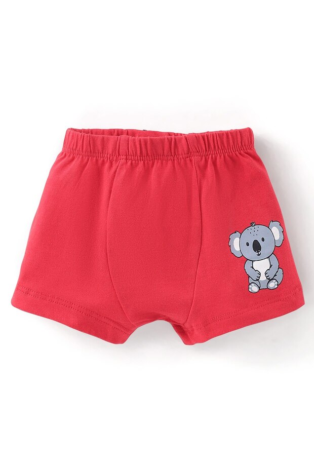 3 Pack Solid, Printed & Striped Cotton Trunks - Multicolor - 6