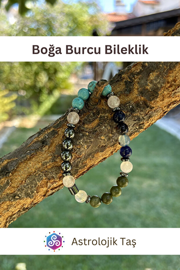 سوار برج الثور - 4