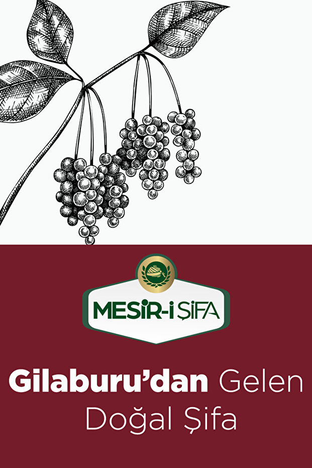 Gilaburu Nektarı Şeker İlavesiz Organik Gilaburu Suyu 1Lt Meyve Suyu - 6