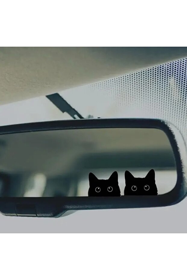 ملصق نمط القطط الغريبة - 3