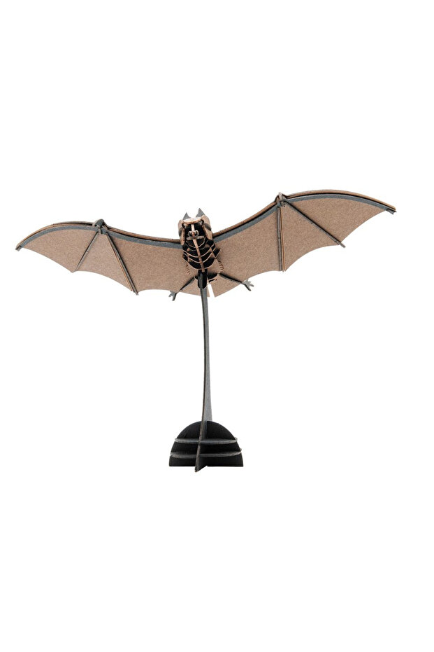 Model 3D, Liliac - 3