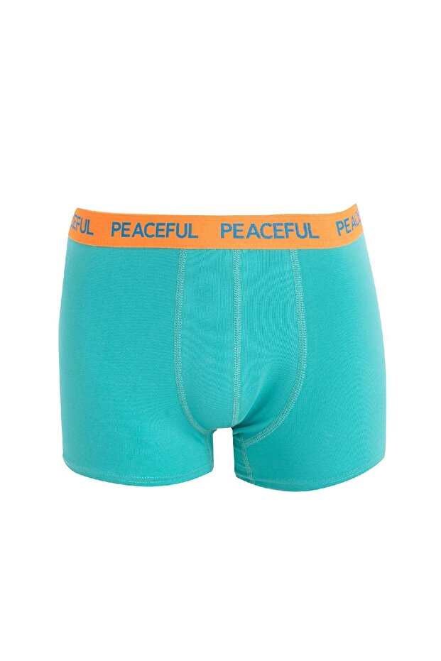 Regular Fit 3'lü Boxer B7774ax24au - 2