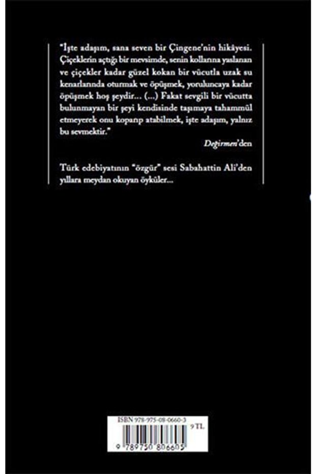 Sabahattin Ali Ali Değirmen - 2