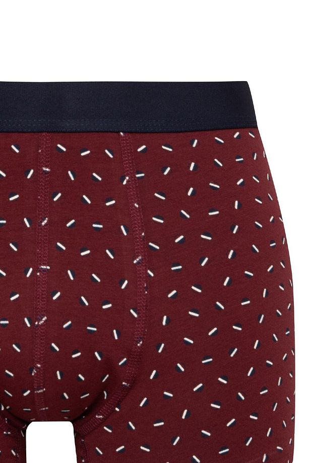 Erkek Regular Fit Desenli 3'lü Boxer D2322ax24wn - 4