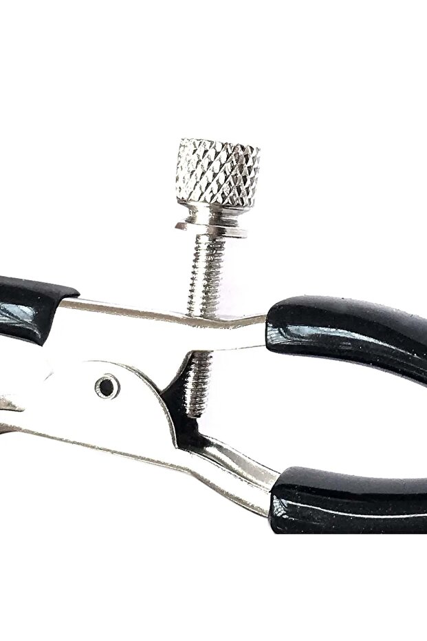 Göğüs Ucu Mandalı - 2