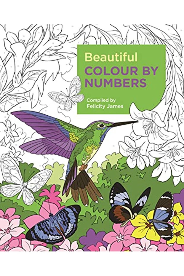 Beautiful Colour By Numbers