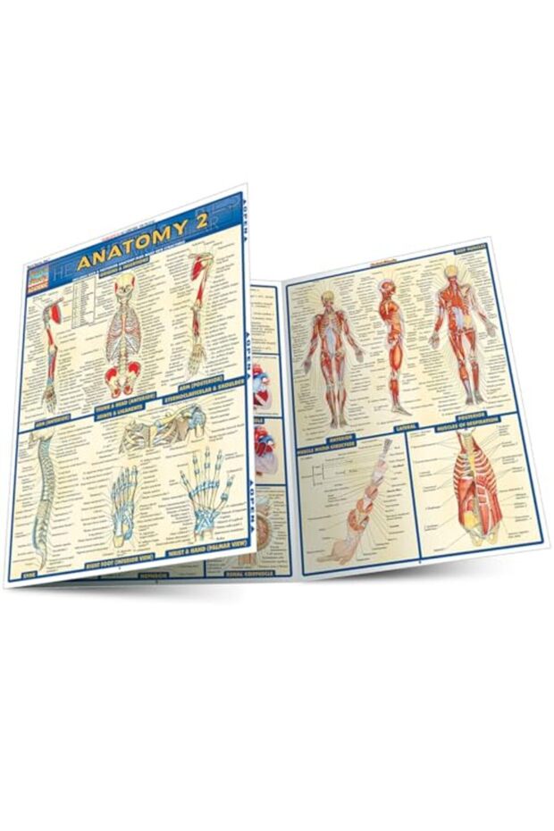 دليل مرجعي لعلم التشريح 2 - 1