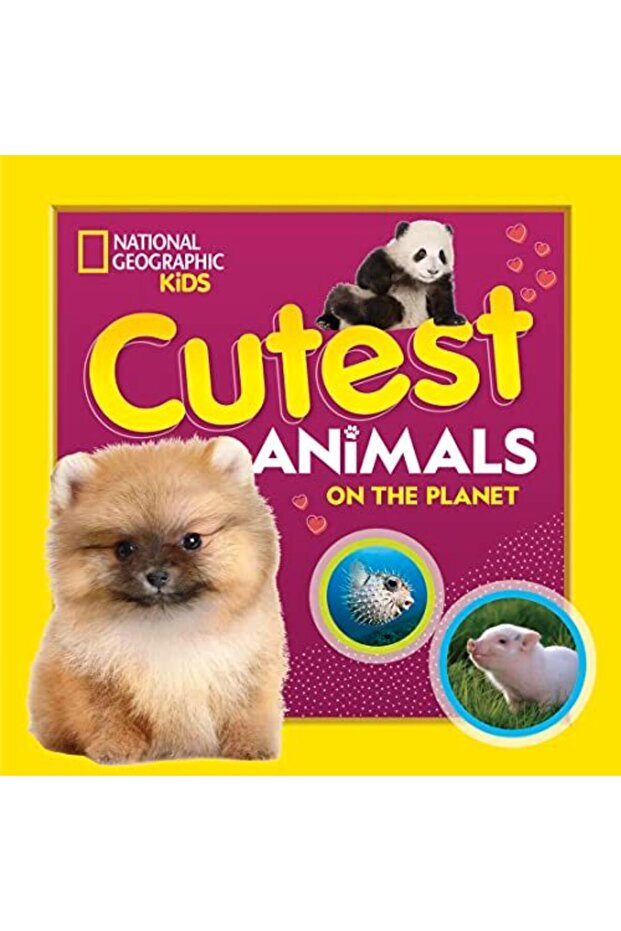 Cutest Animals on the Planet