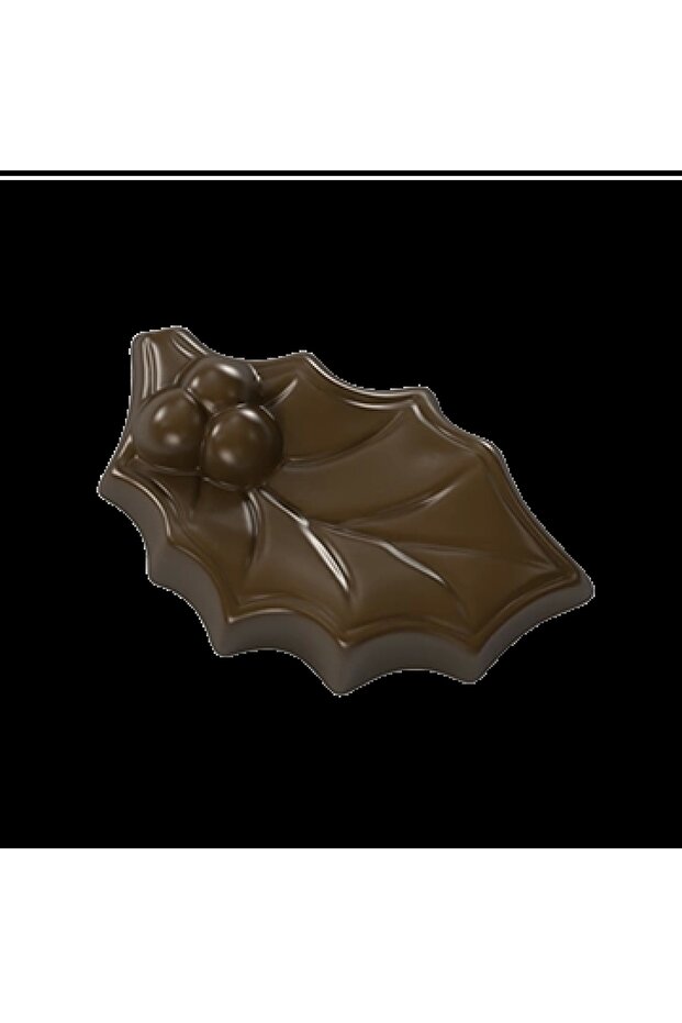 قالب شوكولاتة أوراق البولي كربونات - 704 - 1