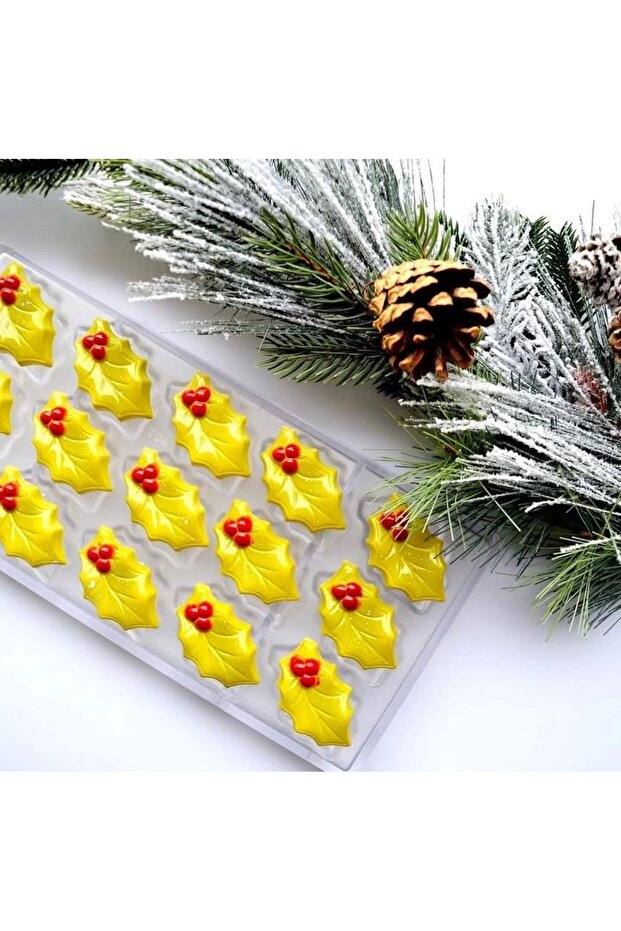 قالب شوكولاتة أوراق البولي كربونات - 704 - 2