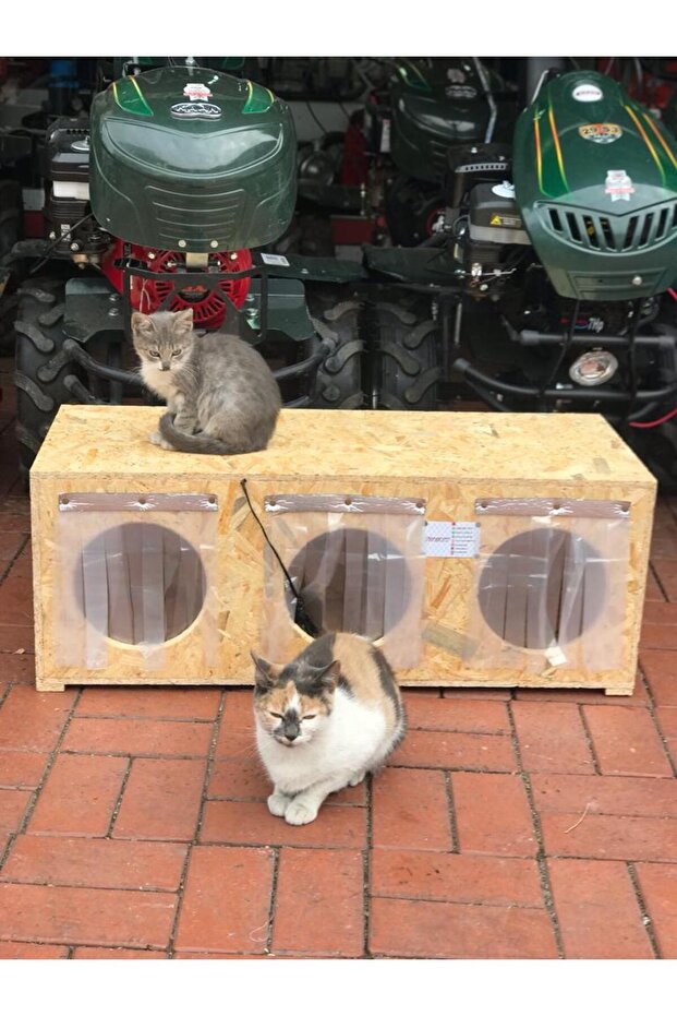 Ahşap Osb Kedi Kulübesi - 7
