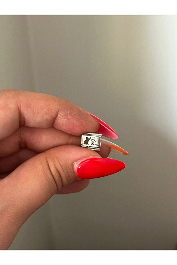 Çelik 2 Kedi Charm - 1