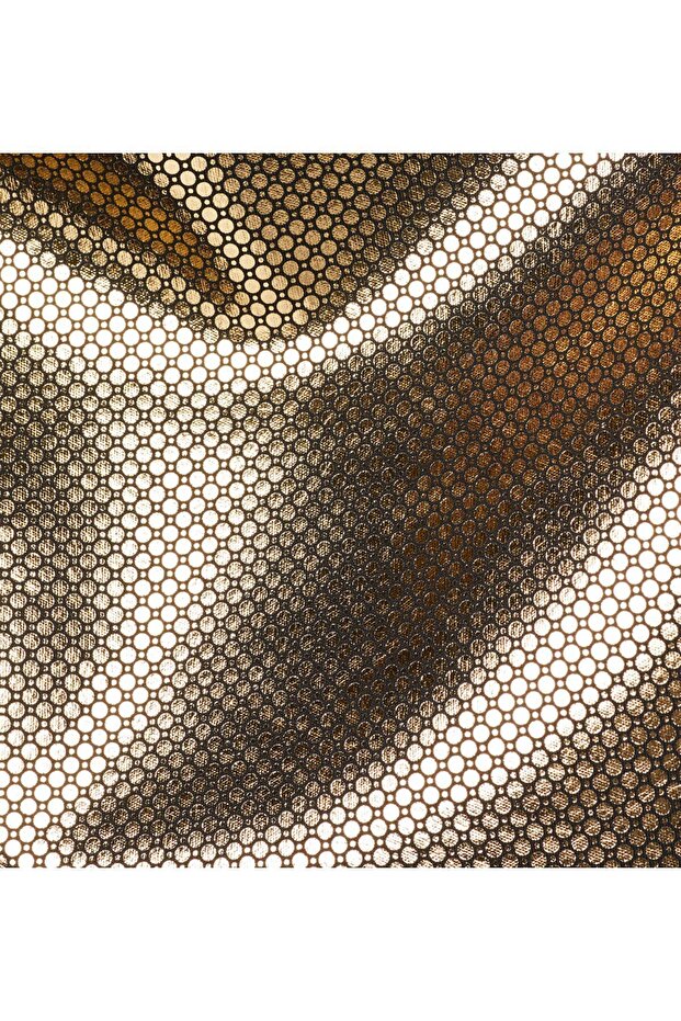 Canyon Meadows Erkek Softshell - 6