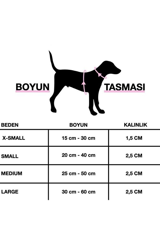 Güvenlik Amaçlı Numaralı İsimli Tasma Seti Köpek Göğüs Tasması Boyun Tasması Köpek Gezdirme Kayışı - 7