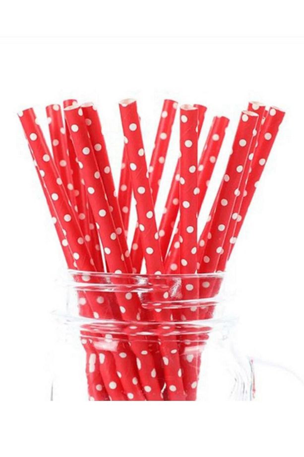 Kırmızı Puantiyeli Kağıt Pipet 24 Adet Parti Doğumgünü Eğlence İçecek Pipeti - 1