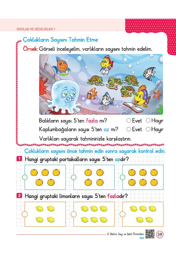 1.SINIF - Problemlerle Matematik - 5