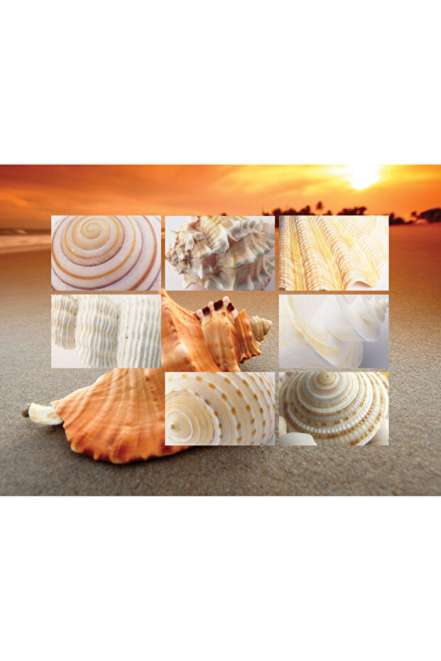 Keyif Tepsili Diz Minderi - Shells - 2