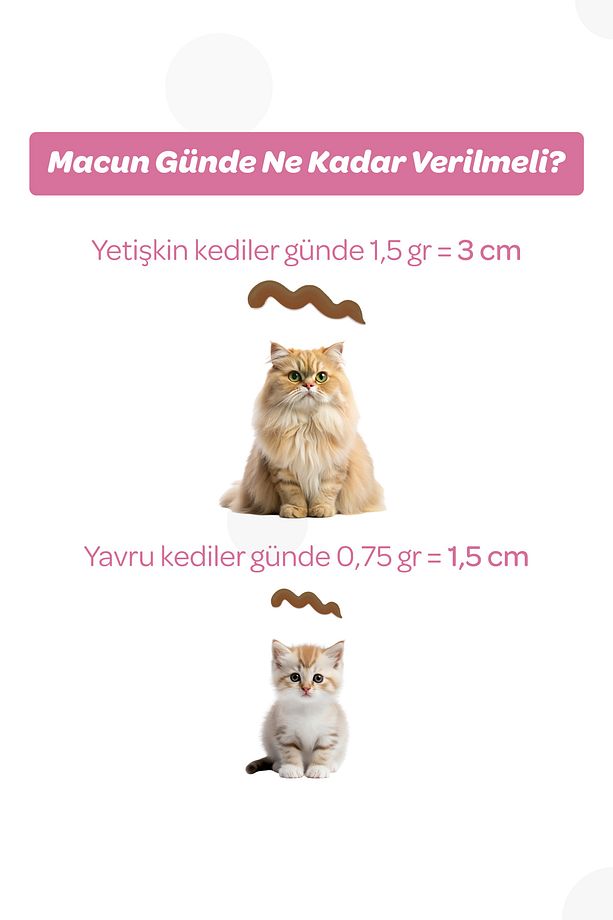 Kitten Taurinli Malt Macun 100gr - Yavru ve Anne Kediler İçin Tüy Yumağı Önleyici Paste - 6
