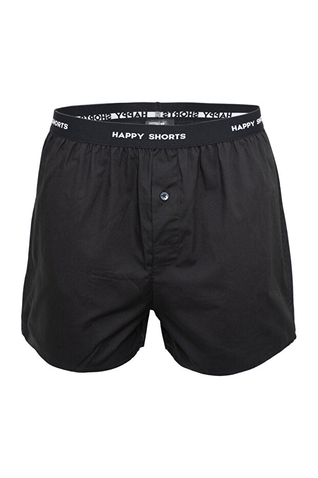 Boxer Mix - 6