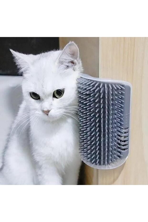 Cat Self Grooming Brush,Cat Scratcher Comb, Massage Toy with Catnip Pouch,for Hairballs (Set of 2) - 5