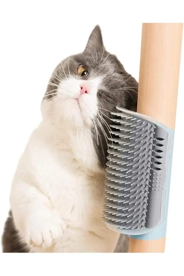 Cat Self Grooming Brush,Cat Scratcher Comb, Massage Toy with Catnip Pouch,for Hairballs (Set of 2) - 3