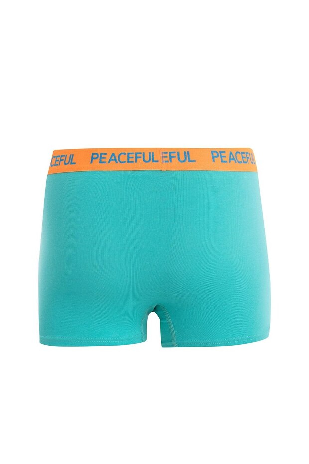 Regular Fit 3'lü Boxer B7774ax24au - 3