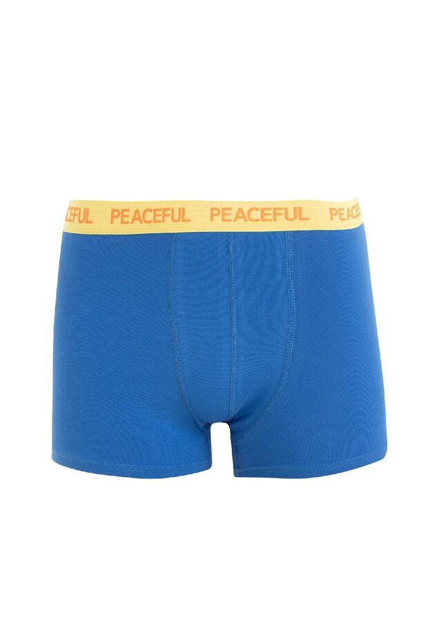 Regular Fit 3'lü Boxer B7774ax24au - 6