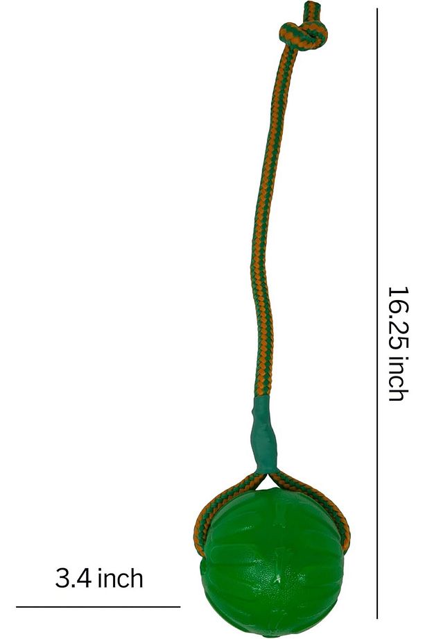 Swing & Fling Chew Ball Köpek Oyuncağı Medium/Large - 5
