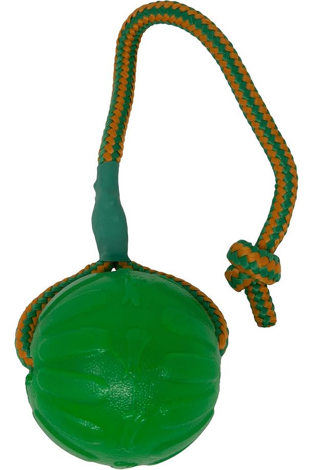 Swing & Fling Chew Ball Köpek Oyuncağı Medium/Large - 3