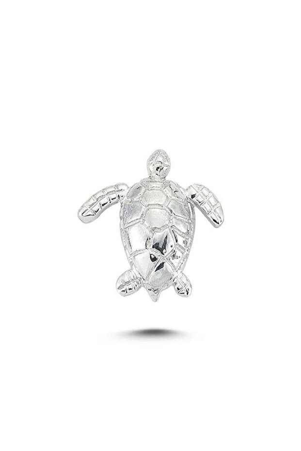 Mini Pin Sakin Kal Kaplumbağa