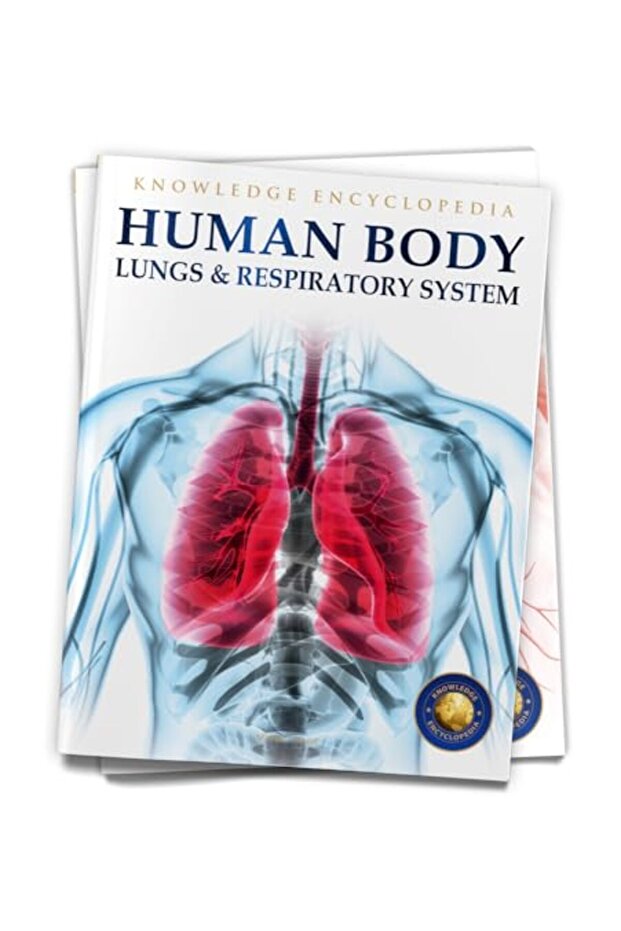 Human Body Lungs And Respiratory System Knowledge Encyclopedia For Children