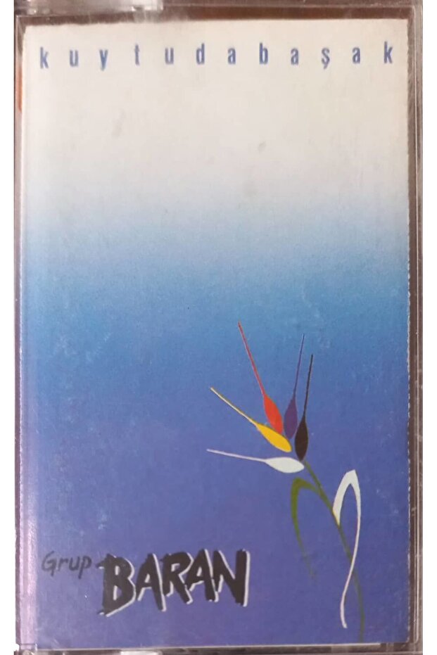 Group Baran Kuytudabaşak Cassette