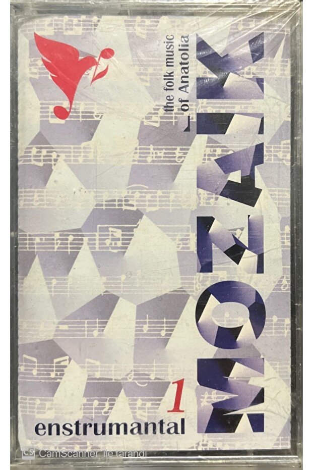 Cassette in Mosaic Gelatin