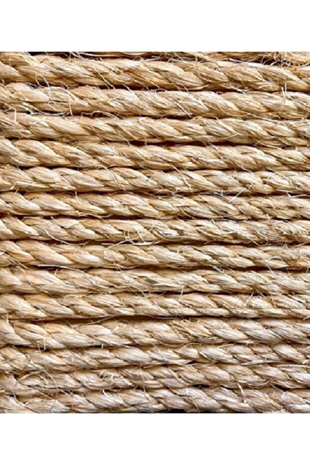 لعبة خدش القطط المتينة للقطط الصغيرة والكبيرة - 3