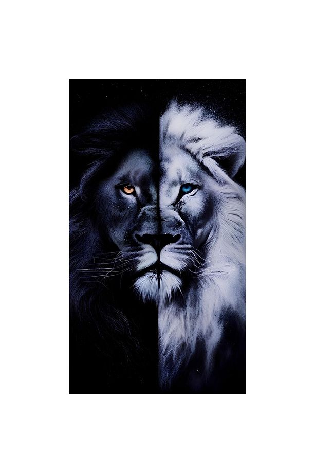 Kapı Direk Folyosu Holagramlı(ASLAN) - 1